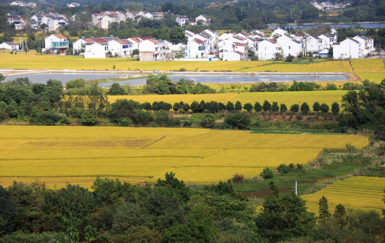 宜兴市西渚镇白塔村