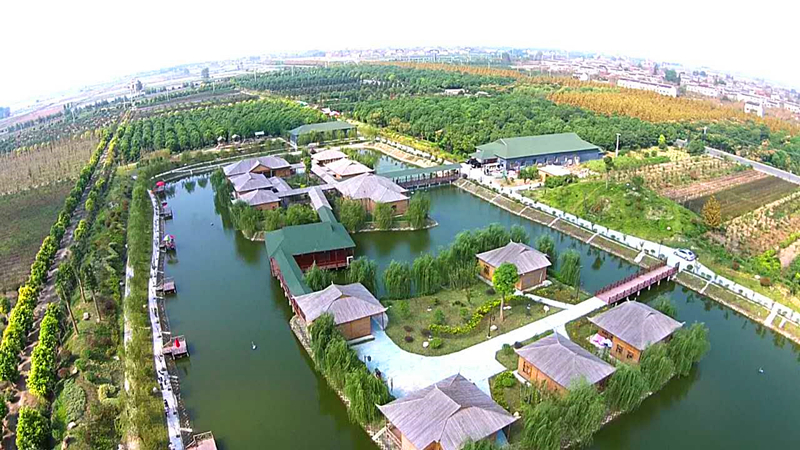 经济总量中亚_中亚牧羊犬