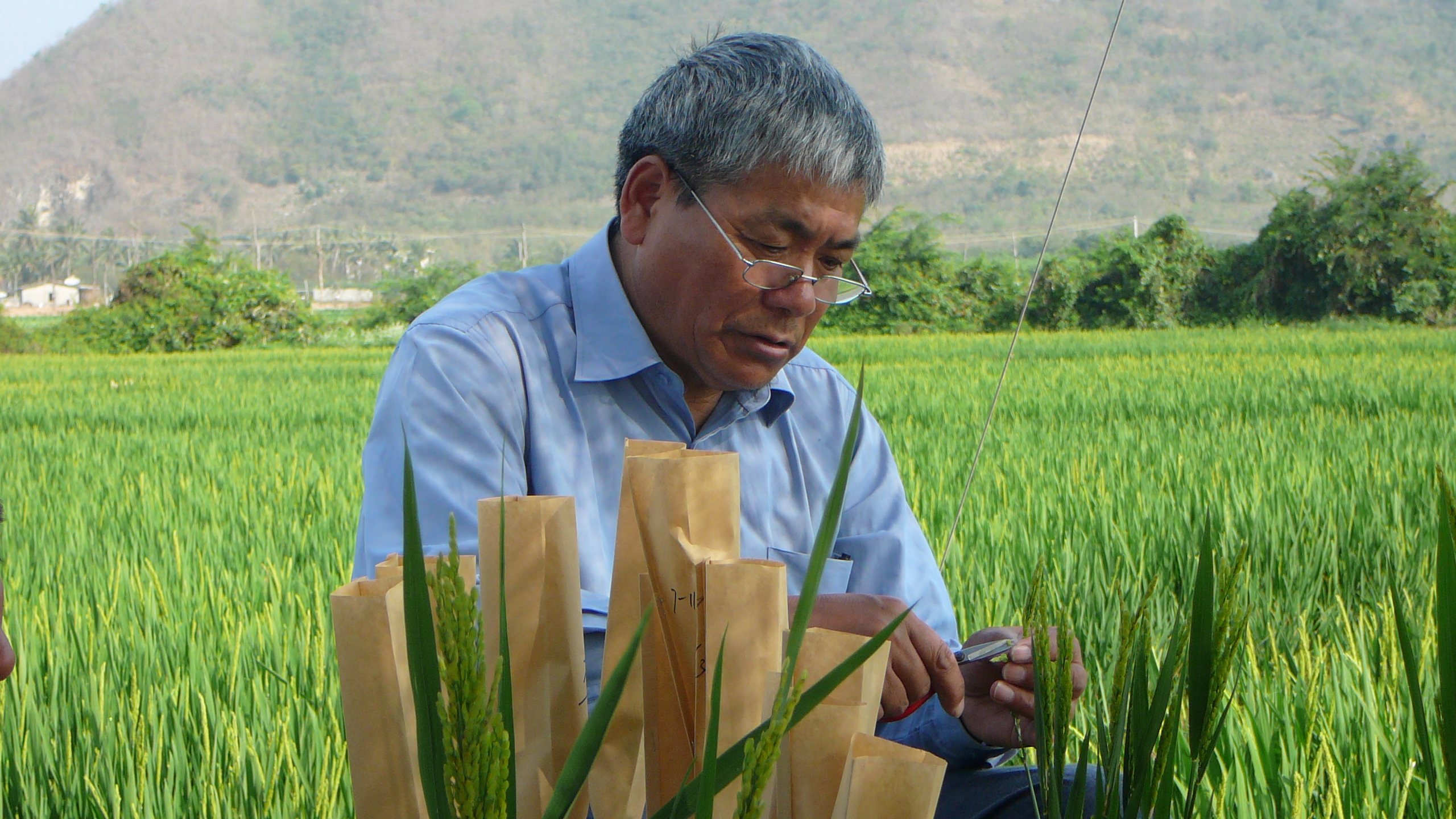 端木银熙,男,1947年8月生,常熟市农业科学研究所总农艺室主任.