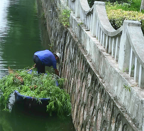 栖霞:八卦花园社区积极迎接文明城市复查_江