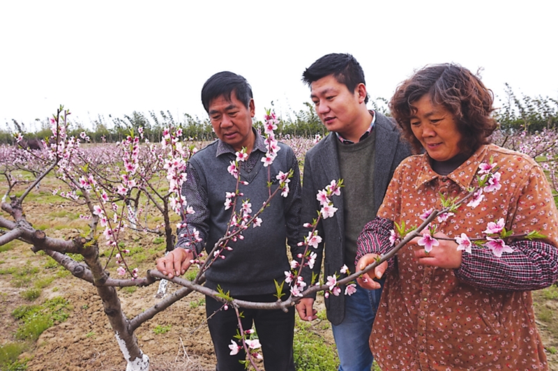 农场主的女儿们_农场主收入(3)