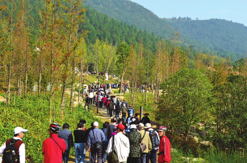 阳山县人口有多少_阳山县地图(3)