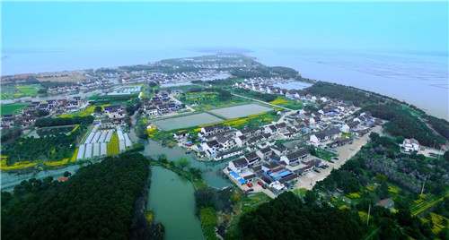 俯瞰清水村 图片来源:阳澄湖度假区