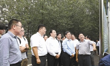 省领导到邳州调研河长制工作