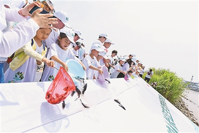 江苏沿江八市经济总量_江苏地图