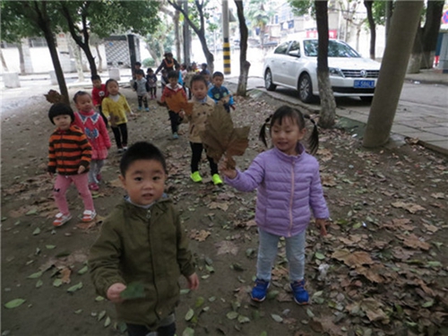 盛菊影幼儿园开展宝贝与秋叶的约会活动