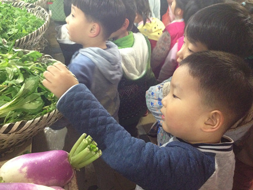铃兰幼儿园开展实践活动参观菜场
