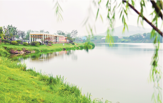 正在加紧建设的南闸街道丁果湖湿地公园.