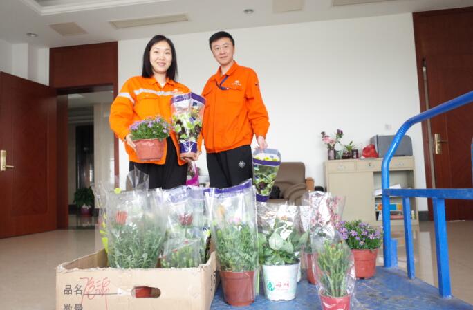 江苏双良开展爱护环境、从我做起主题活动