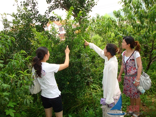 连云港:花果山乡农家乐生态游广受欢迎