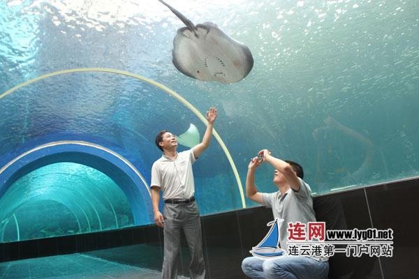 连云港市最大海洋馆建成开放