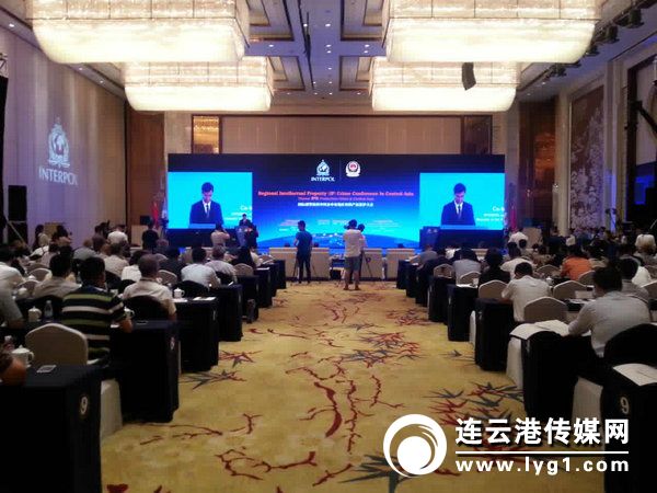 国际刑警组织中国及中亚地区知识产权保护大会