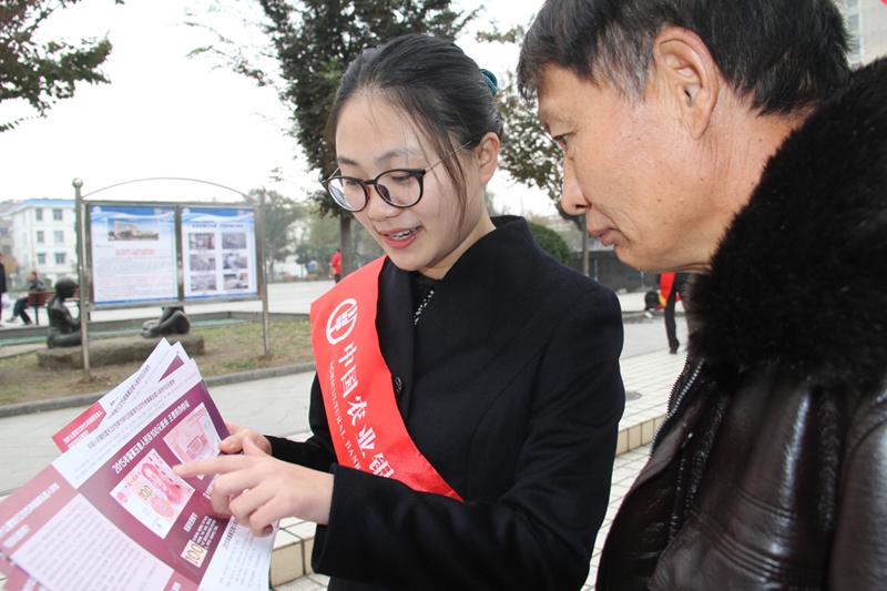 2015年版第五套人民币100元纸币11月12日起