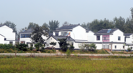 淮阴区码头镇泰山村:古运河畔的美丽乡村