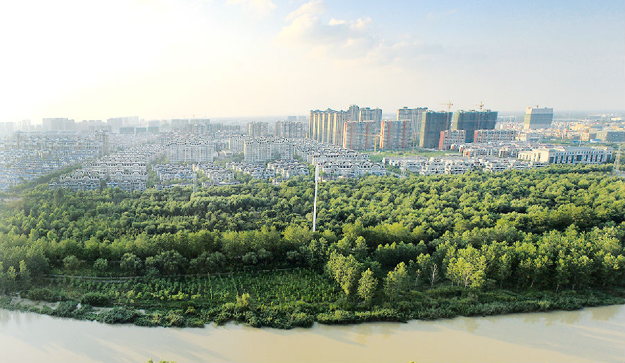 我市注重城市生态环境建设,城市绿化率逐年提高.