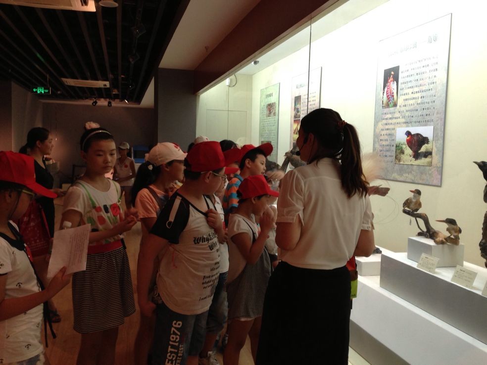 东台市博物馆挂牌成立小橘灯志愿者工作站