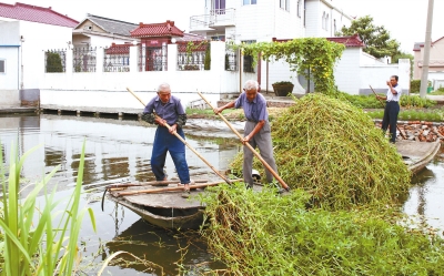 东台市溱东镇人口_东台市时堰镇学校(3)