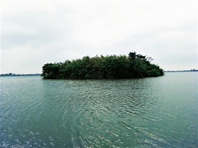 盐城 阜宁县 > 正文   近年来,金沙湖风景区生态环境幽雅,沙美水秀