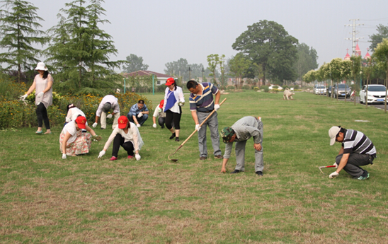 响水黄海社区七一开展党员志愿者义务拔草活动