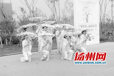 扬州杭集镇2018经济总量_扬州炒饭图片