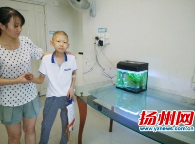 大水哥已在新加坡切除肿瘤 爱心捐款达177万