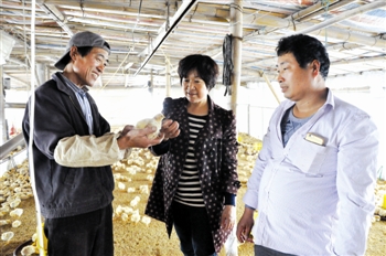 让市民尽享丰富“法治大餐”