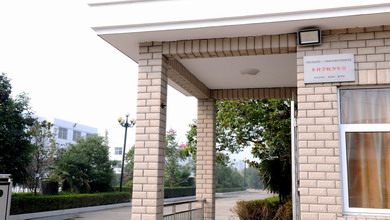 泗阳县:缤纷的冬日志愿服务活动助力青少年健