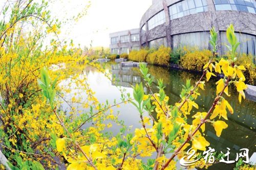 绿化城市排名_城市绿化(2)