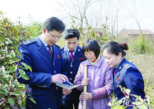 税收缴款书_沭阳县税收收入(2)